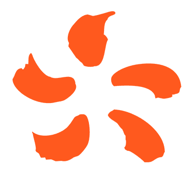 IZIVIA
